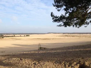 Nationaal Park De Loonse en Drunense Duinen Foto's: Boswachter Frans Kapteijns op Twitter