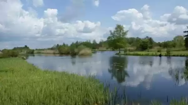 De Molenpolder in mei. Foto: Staatsbosbeheer.