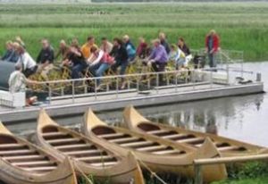 Varen in een reuzeklomp. Foto: Vadesto. Varen in een reuzeklomp. Foto: Vadesto.