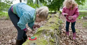 Duindetective: speuren naar sporen (6+) Duindetective: speuren naar sporen (6+)Foto geüpload door gebruiker Natuurmonumenten.