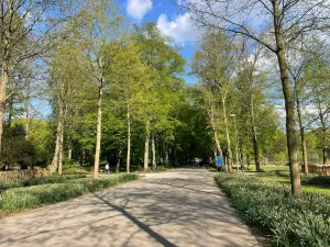 Foto: Ankie Klut