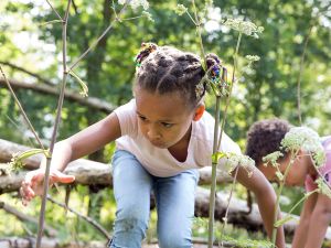 OERRR speelnatuur Mosselse Zand