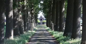 Fietsroute vol pittoreske weelde Het pittoreske platteland van Soest. Foto: DagjeWeg.NL, Coby Boschma.
