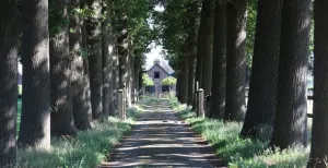 Fietsen rondom Soest