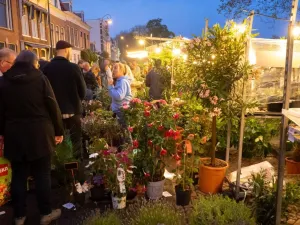 Luilakmarkt Kom 's avonds laat struinen over een markt. Foto: Gemeente Haarlem