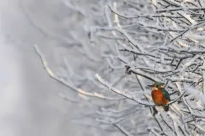 Dagje uit dit weekend Mooie plaatjes in de natuur. Foto:  Facebook Natuurmonumenten 