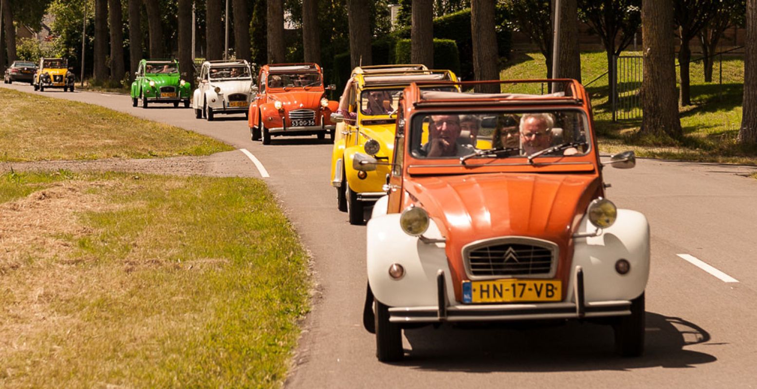 Een kleurrijk gezicht. Foto: Eenden Tour Westland