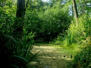 Wandelpark Caprera. Foto: Wandelpark Caprera.