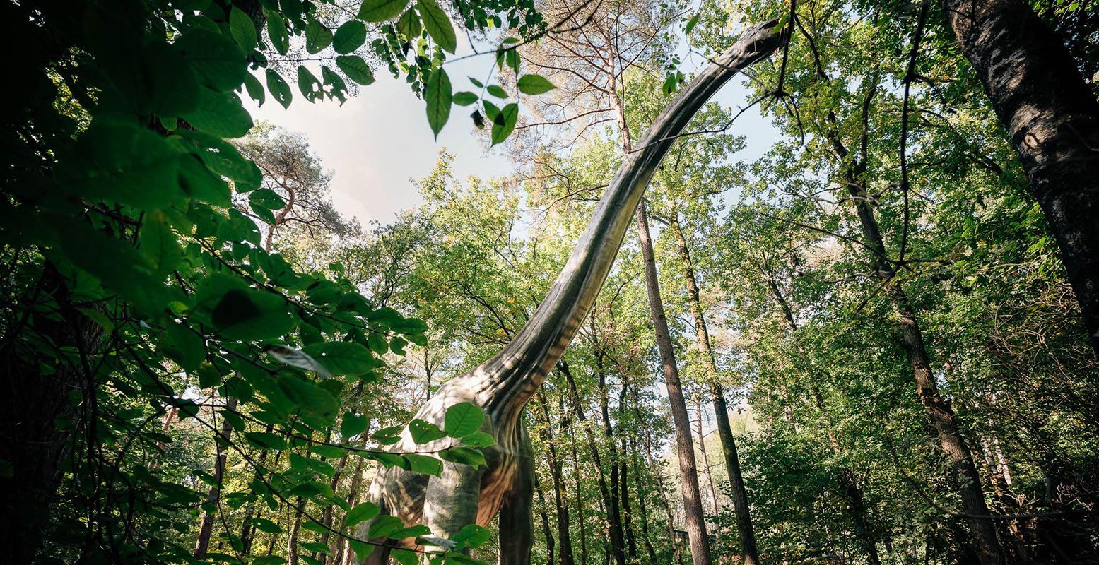 Wauw, wat is die groot! Foto: DierenPark Amersfoort © Jessie Kamp