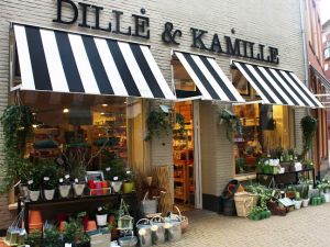 Dille & Kamille Zwolle