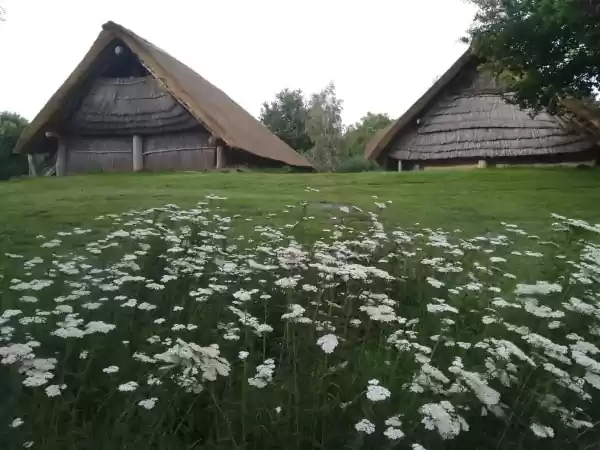 Foto: Swifterkamp