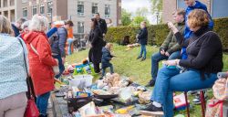 Hier vier je een gezellige Koningsdag