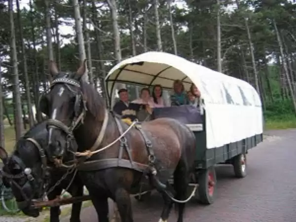 Mee met de huifkar. Foto: Ameland Actief