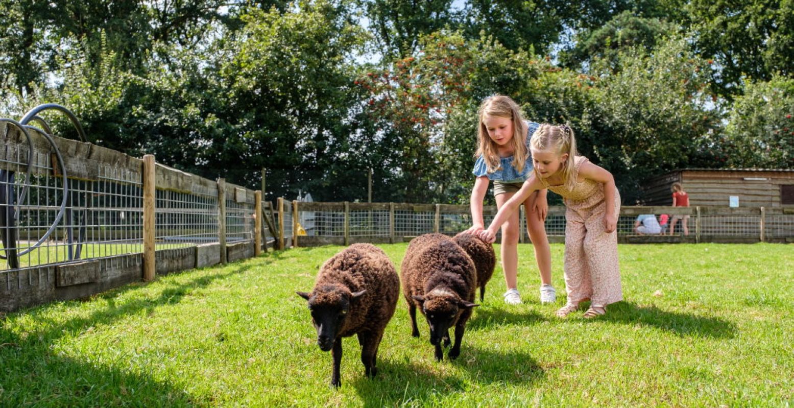 Het is volop lente op Speelboerderij De Flierefluiter. Foto: De Flierefluiter