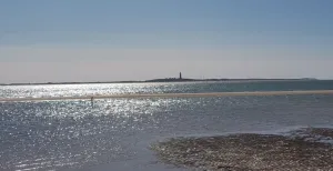 Waddenzee Werelderfgoed