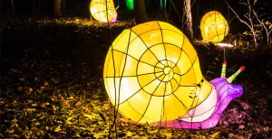 Heel veel tips om te doen in de voorjaarsvakantie Wandel tussen de lichtgevende dieren. Foto: Koninklijke Burgers' Zoo.