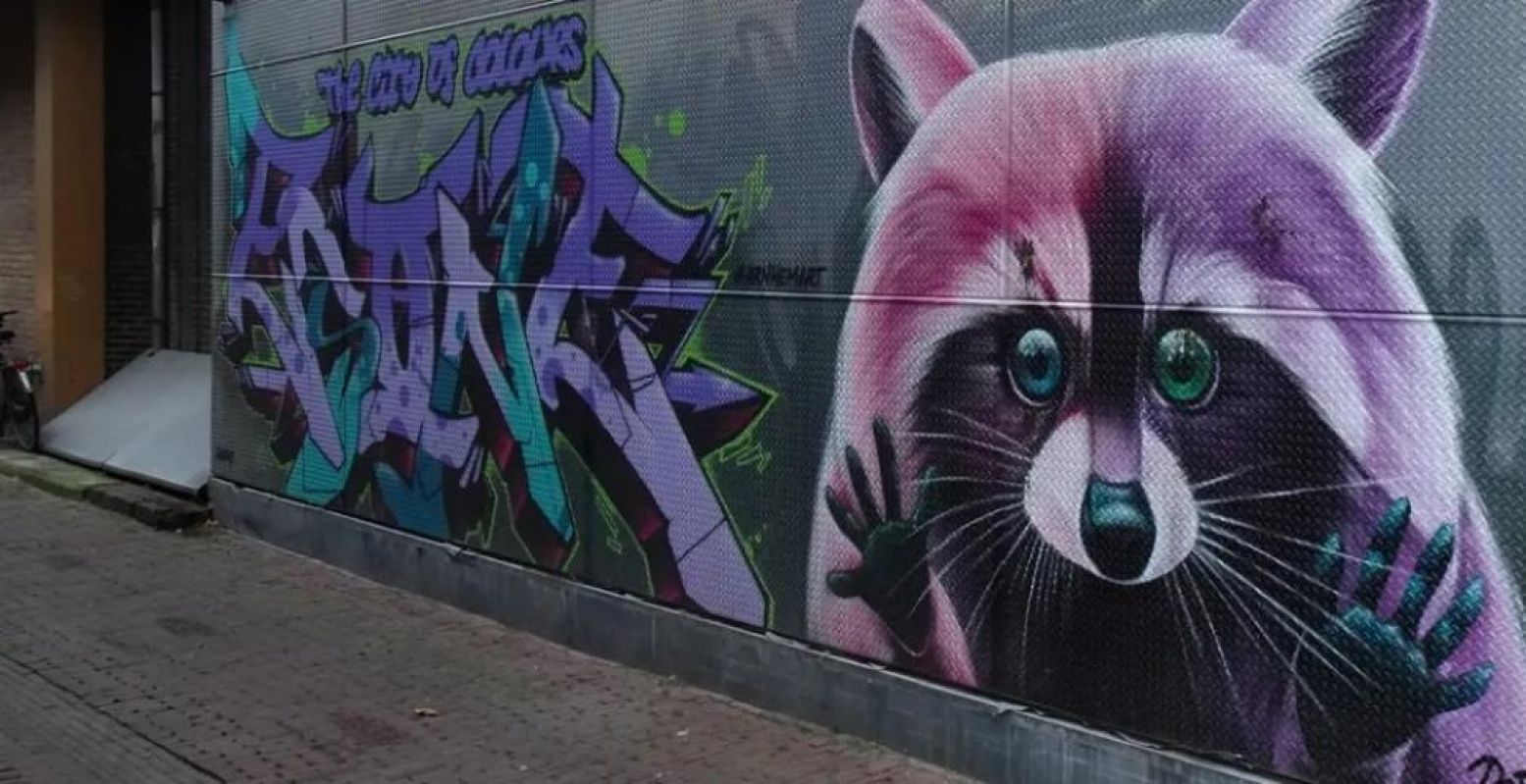 Wandel of fiets langs de street art in onze steden en ontdek graffitikunst, zoals deze roze wasbeer in Arnhem. Foto: DagjeWeg.NL © Thijs Löwenthal