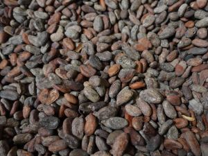 Rousseau Chocolade