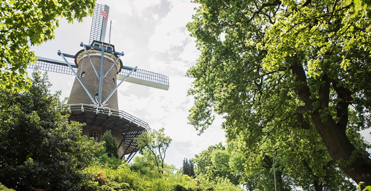 Bezoek de Molen van Piet. Foto: Alkmaar Prachtstad