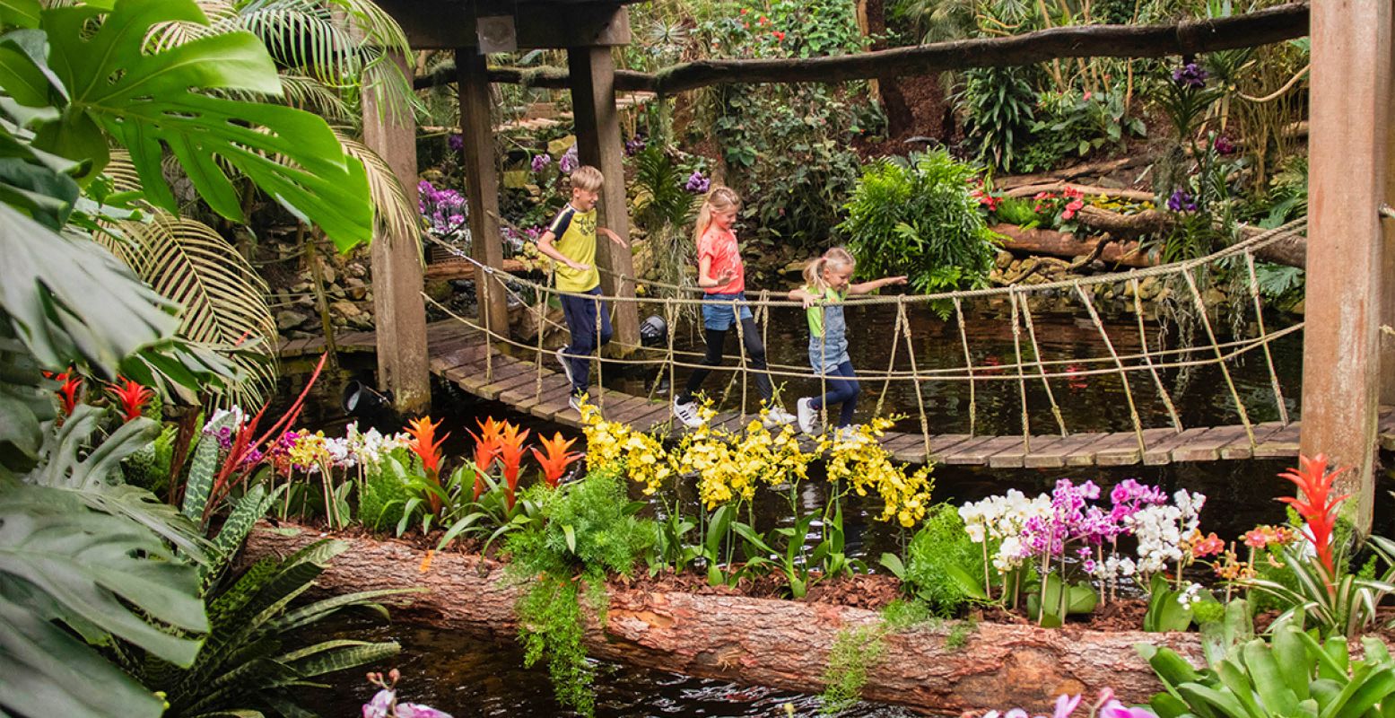 Vind je weg over spannende paadjes door de jungle van de Orchideeën Hoeve. Foto: Orchideeën Hoeve