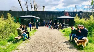 Heerlijke huisgemaakte taart & koffie Foto geüpload door gebruiker Stichting Liniebreed Ondernemen.