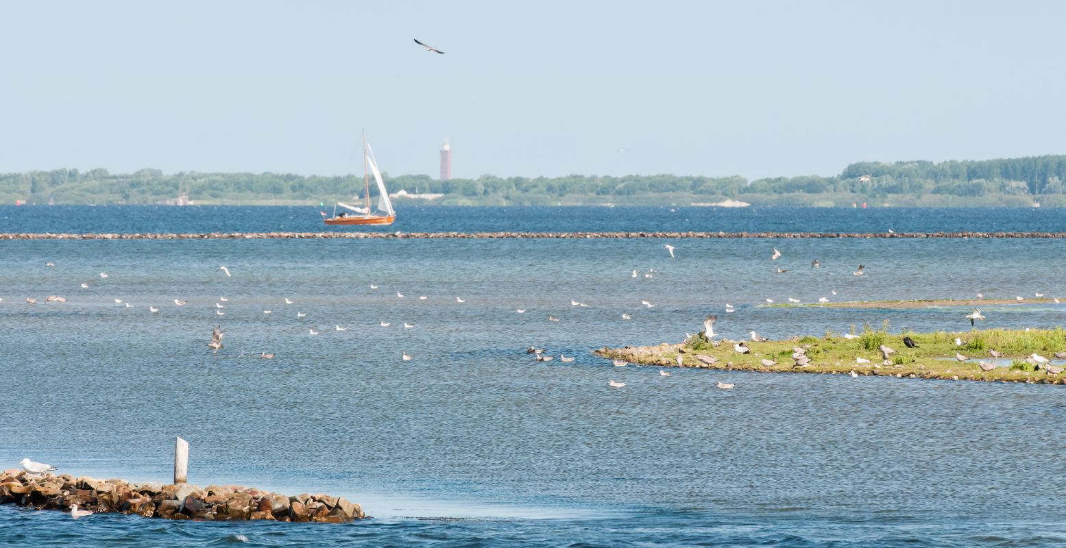 Kijk uit over het Grevelingermeer. Foto: Eilandmarketing Goeree-Overflakkee © Els Swart