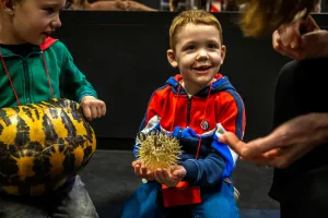 Educatieve activiteit. Foto: Naturalis Biodiversity Center Educatieve activiteit. Foto: Naturalis Biodiversity Center