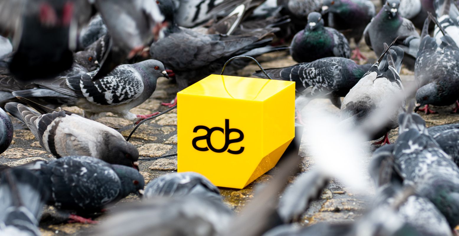 Ook de duiven op de Dam hebben zin in ADE. Foto: Amsterdam Dance Event © Enrique Meesters Fotografie