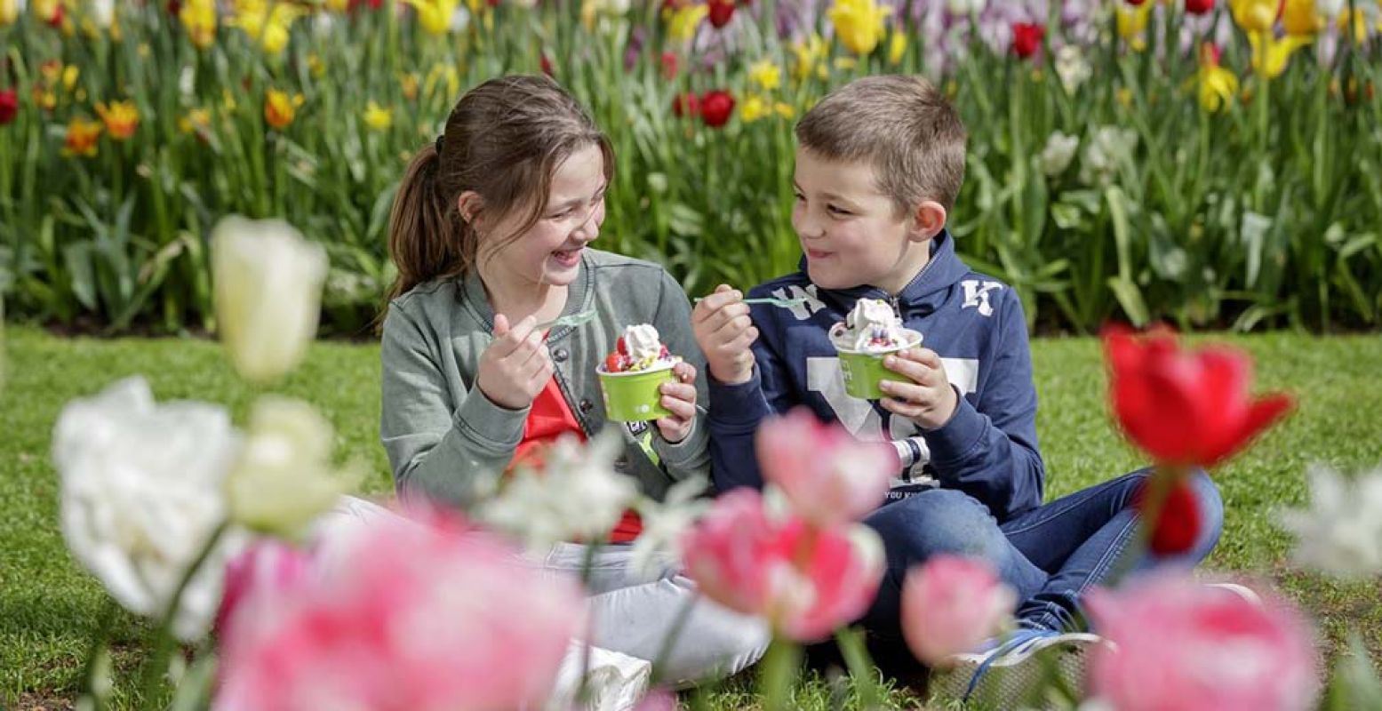 Het thema in Keukenhof is dit seizoen Romantiek in Bloemen. Foto: Keukenhof.