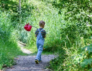 Foto: De Papaver