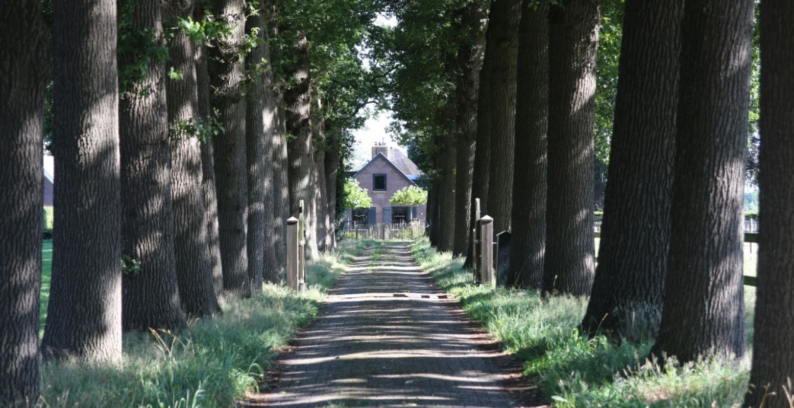Het pittoreske platteland van Soest. Foto: DagjeWeg.NL, Coby Boschma.
