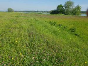 Riviervaart van Rhenen naar Ingensche Waarden Stichting RivieroevervaartenFoto geüpload door gebruiker.