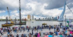 Zeecontainers, een oorlogsschip en drijvende koeien