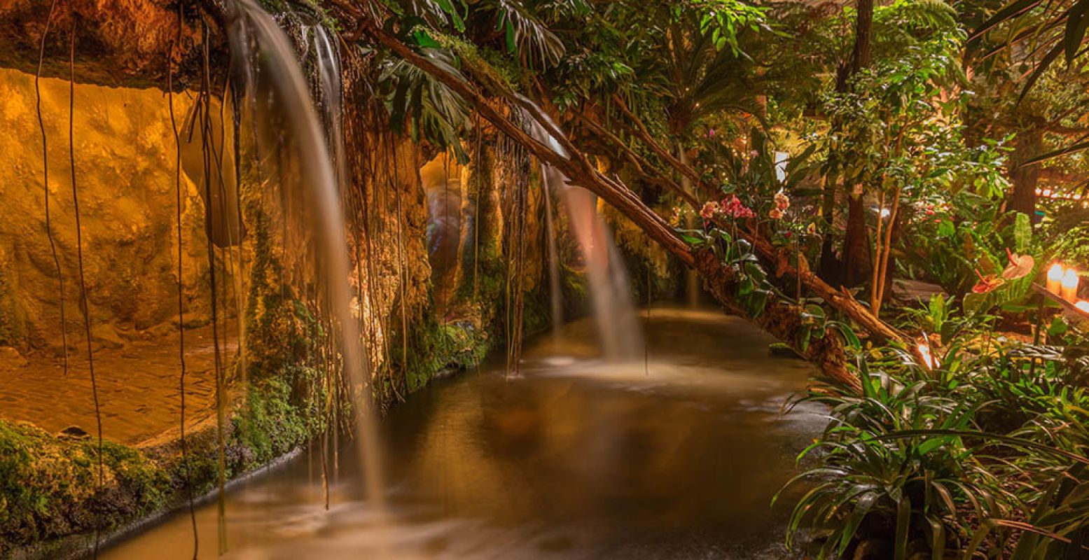 Bewonder de tropische tuinen in een magisch licht. Foto: Orchideeën Hoeve.