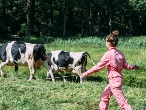 Melkveebedrijf Hoeve de Pippert