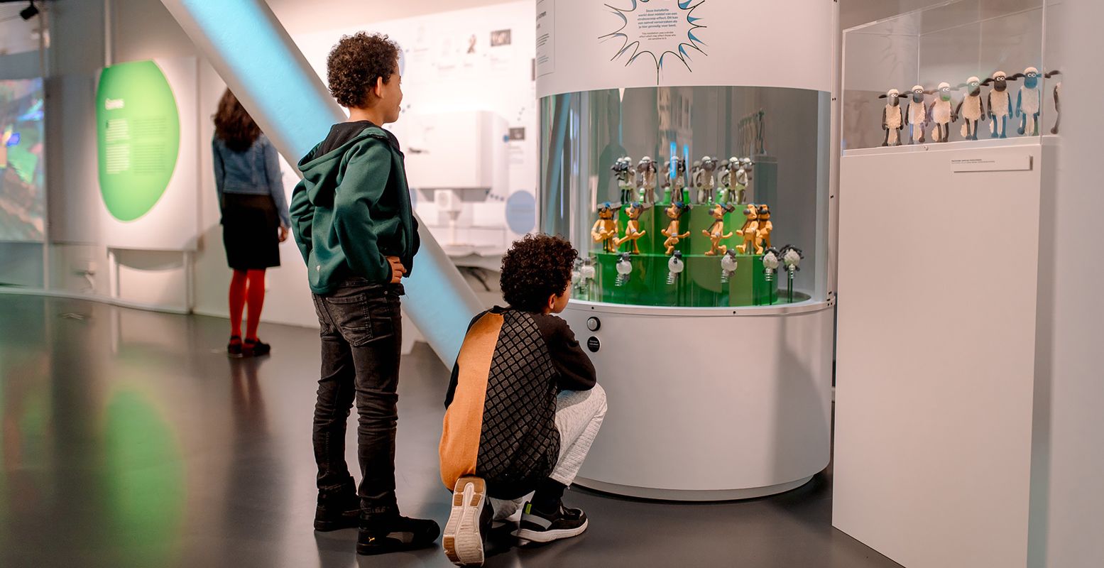 Laat je inspireren tijdens de Museumweek. Ontdek bijzondere voorwerpen in de musea, zoals de enige, echte 3D-zoötroop in Nederland in Museum StoryWorld. Foto: StoryWorld © Marleen Annema