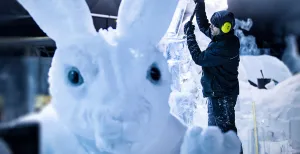 Magische verhalen komen tot leven in een bevroren wereld Fantastische werelden zoals Alice in Wonderland, The Hobbit en Dracula komen tot leven in de IJsselhallen. Foto: Het Nederlands IJsbeelden Festival.