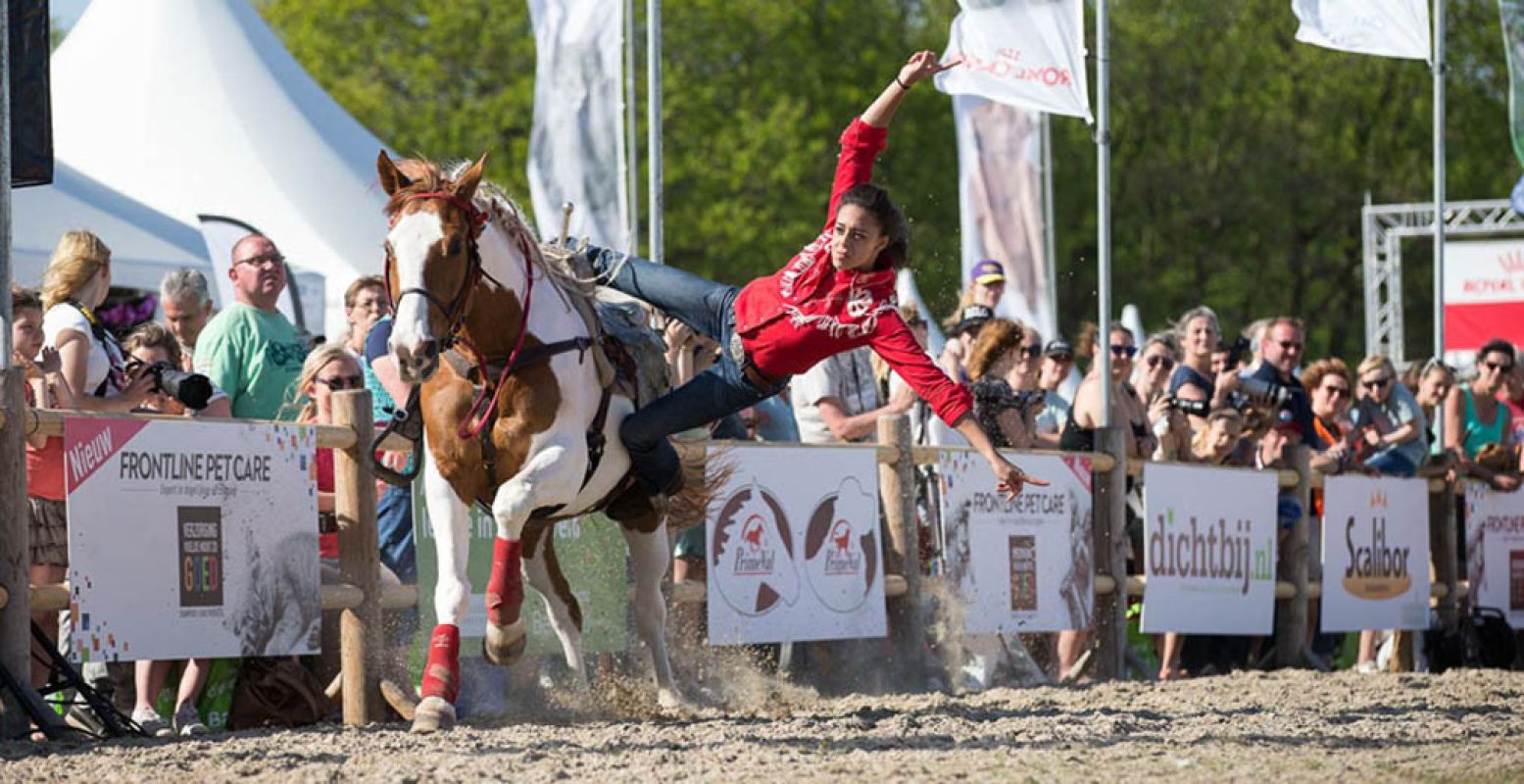 Geniet van spectaculaire shows op het Animal Event. Foto: Animal Event / Academy Bartels