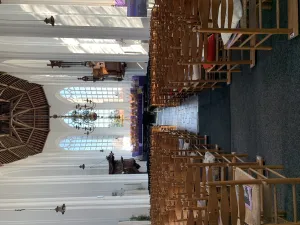 Orgelmatinee Orgel st.Baafskerk foto: Paula Buit