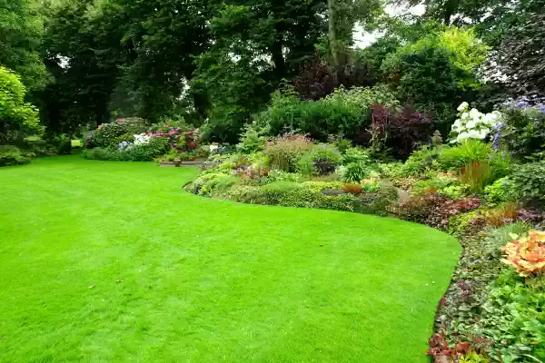 Overzicht tuin: foto: Wies Voesten