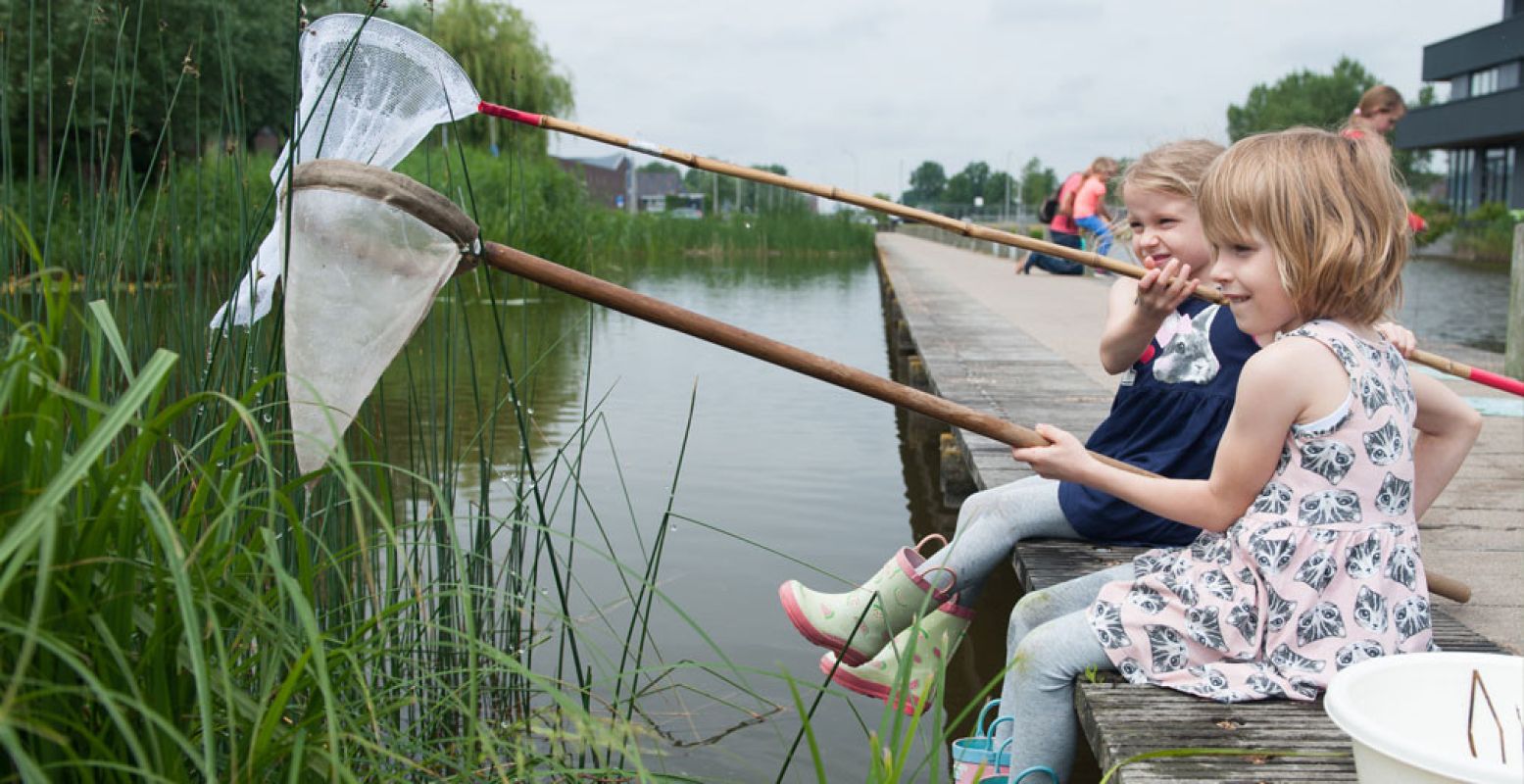 Waterbeestjes vangen met een schepnetje. Foto's: IVN