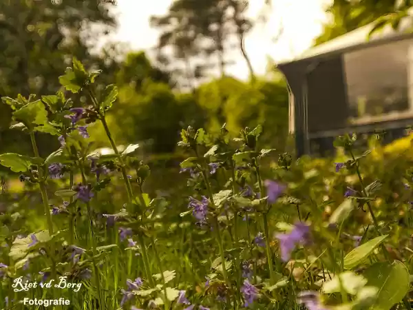 Foto: Riet van den Berg Fotografie Foto: Riet van den Berg Fotografie