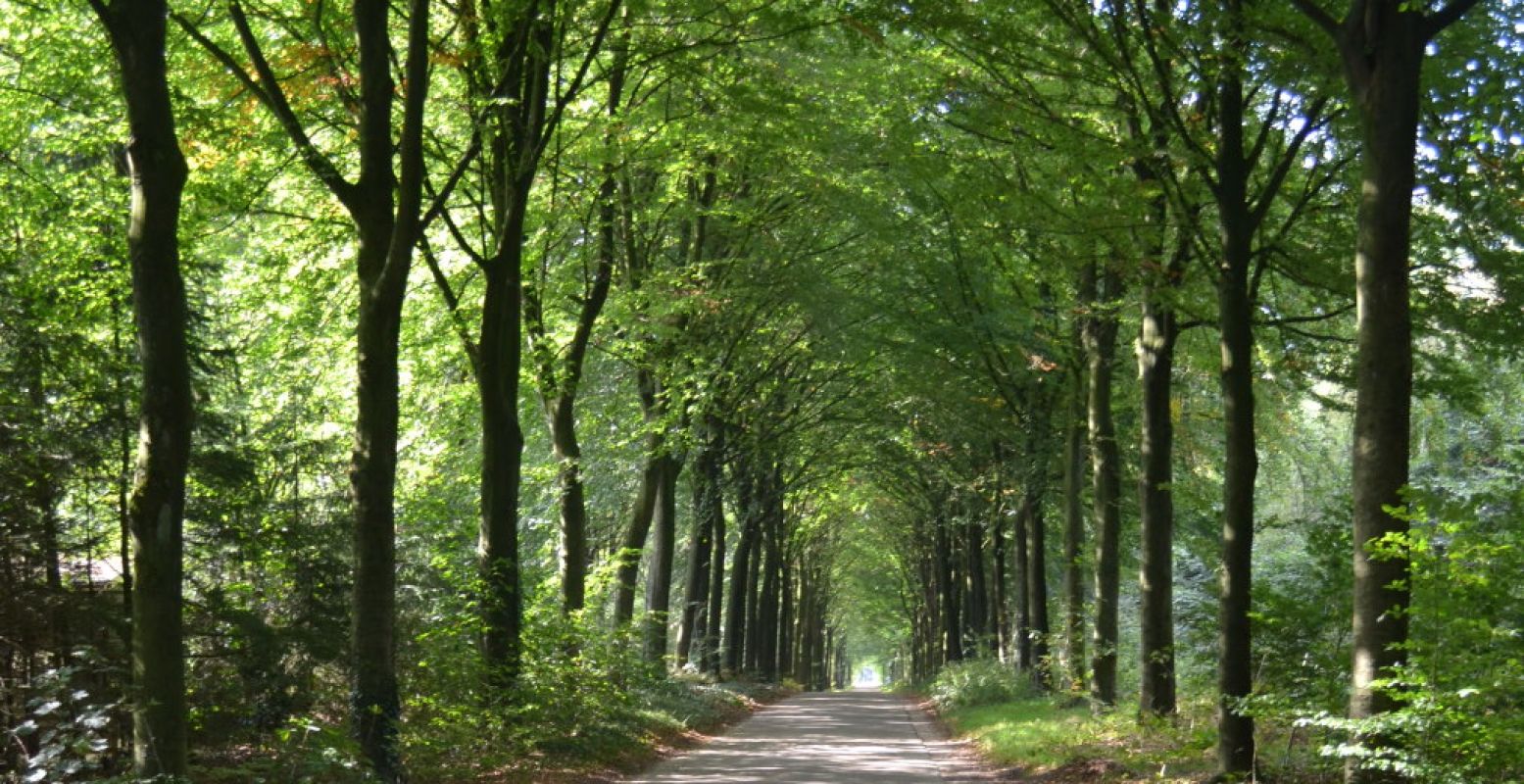 Vier de vakantie in eigen land weg van de massa, lekker in de natuur. Foto: DagjeWeg.NL.