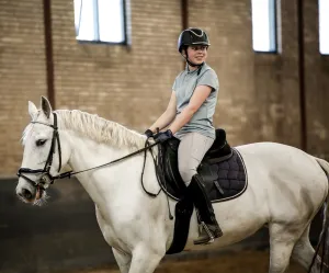 Manege het Roessingh. Foto: Lieke Goverts. Manege het Roessingh. Foto: Lieke Goverts.