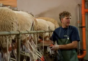 Slapen in een BoerenBed Tent