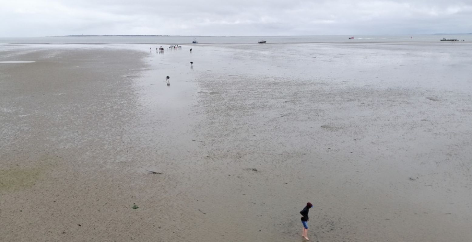 Stap voor een bijzonder dagje uit het Wad op. Foto: DagjeWeg.NL @ Coby Boschma