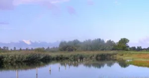 Wandelexcursie Weide Nes Bergen | Foto geüpload door gebruiker Natuurmonumenten.
