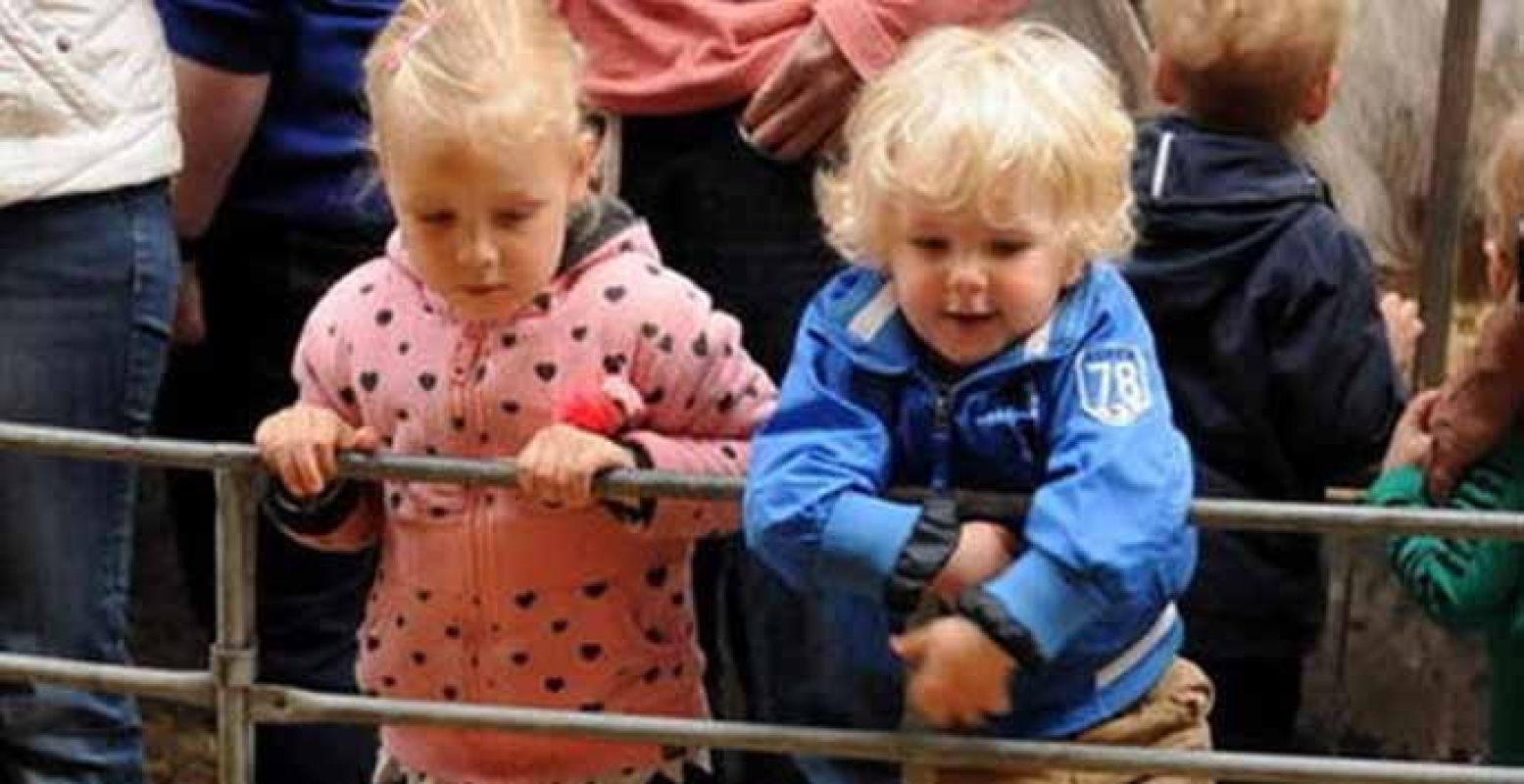 Op bezoek bij pasgeboren lammetjes. Foto: De Boerinn