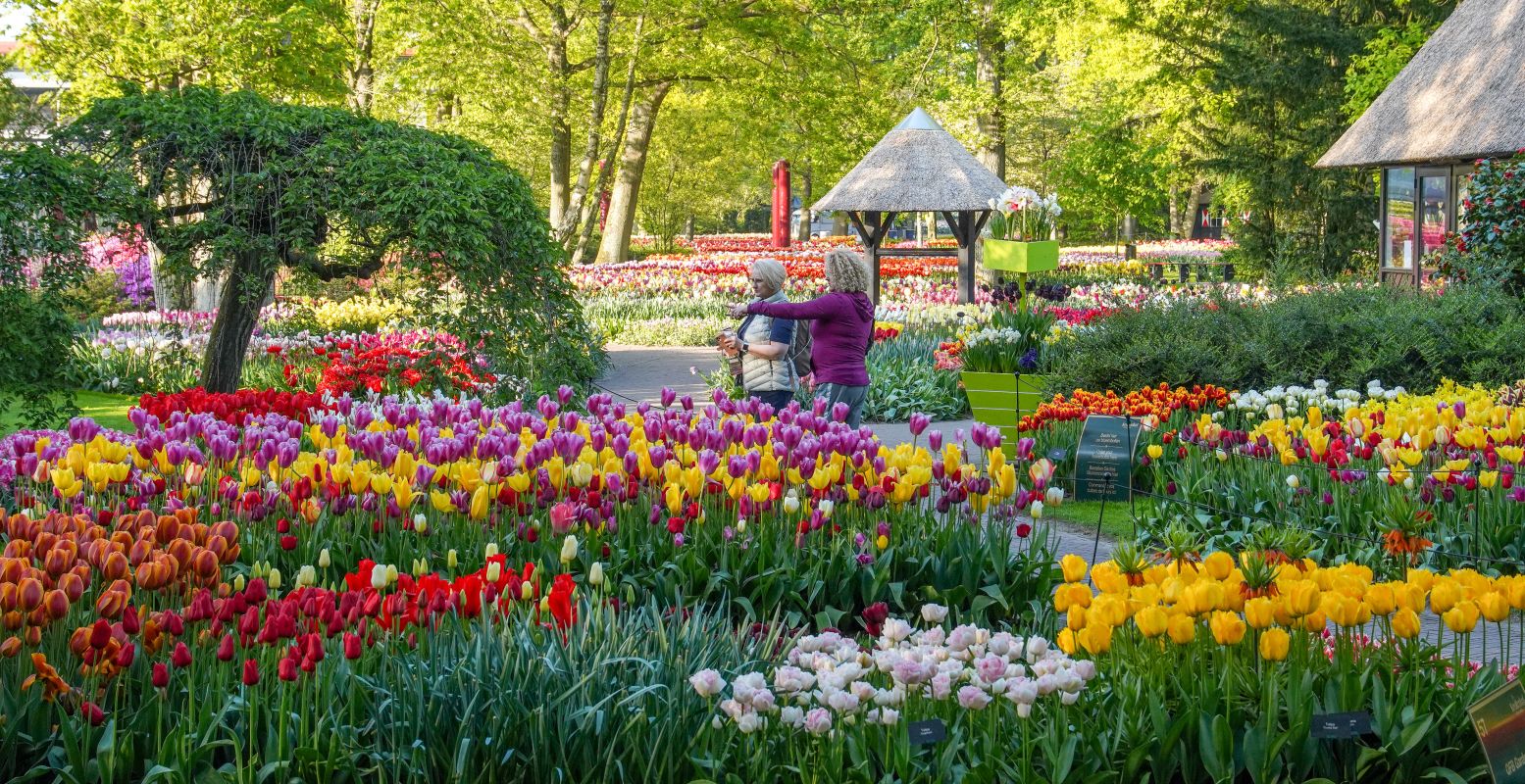 Wandel langs miljoenen bloemen. Foto: Keukenhof