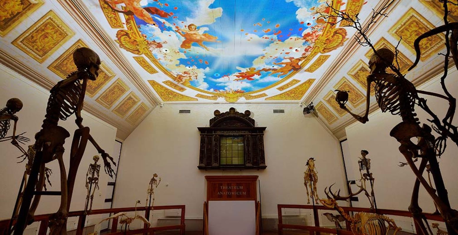 Een prachtige blikvanger: de hemelprojectie in het anatomisch theater. Foto: Rijksmuseum Boerhaave.
